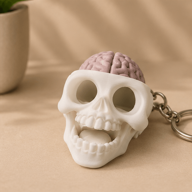 Close-up of the white skull fidget keychain with its jaw dropped open, revealing teeth and the pink brain on top.